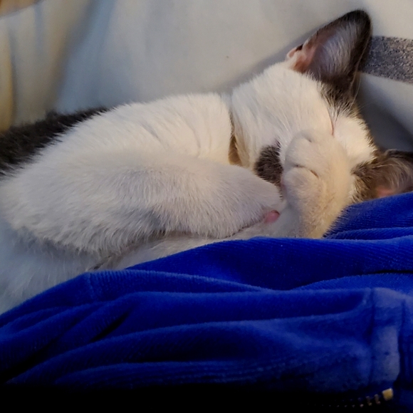 Keep an 👁 4 Sales! - Picture 3 of 8